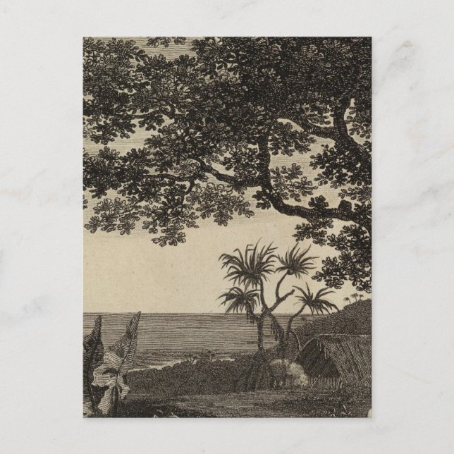 Carte Postale Vanuatu 3 (Devant)