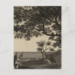 Carte Postale Vanuatu 3