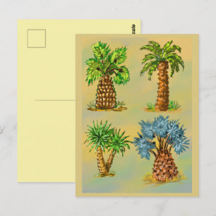 Carte Postale Variétés de palmiers en couleurs.