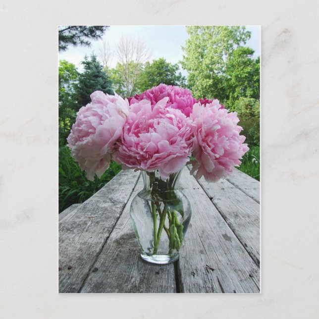 Carte Postale Vase de pivoines roses (Devant)