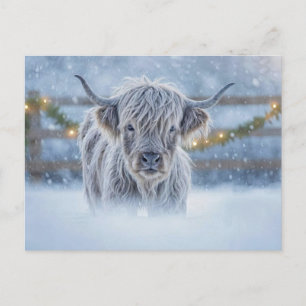Carte Postale Veau des Highlands dans la neige Noël Vacances