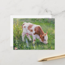 Veau mignon dans un champ de fleurs, style Claude