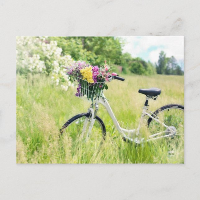 Carte Postale Vélo à fleurs (Devant)