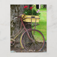 Vélo ancien ancien avec panier à fleurs