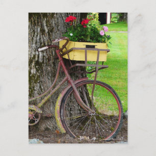 Carte Postale Vélo ancien ancien avec panier à fleurs