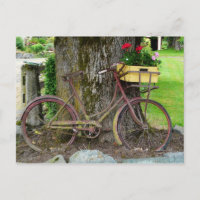 Vélo ancien ancien avec panier à fleurs