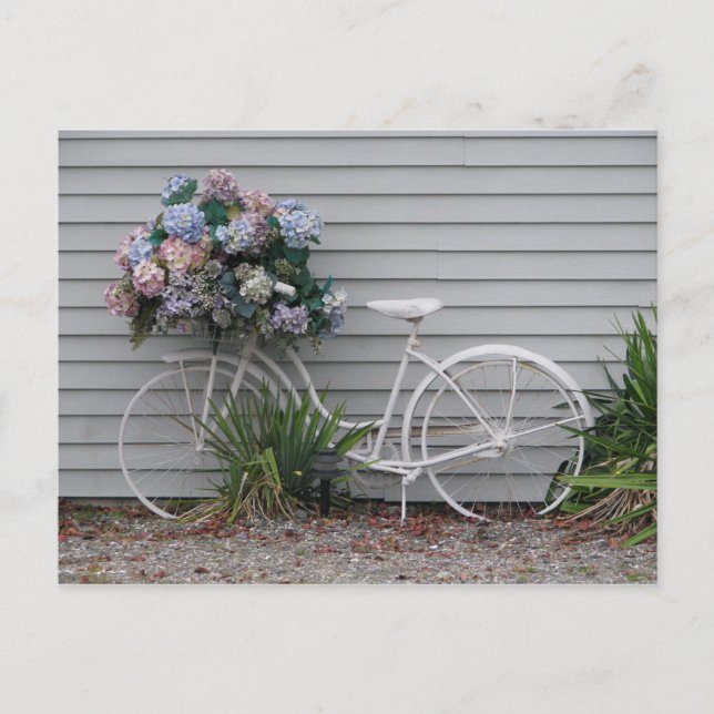 Carte Postale Vélo de plage (Devant)