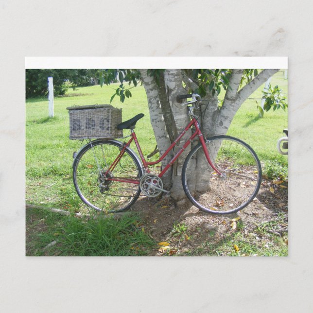 Carte Postale Vélo rouge (Devant)