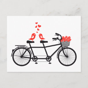 Carte Postale vélo tandem avec de mignons inséparables