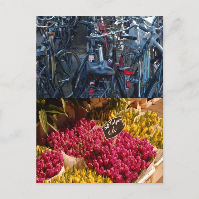 Carte Postale Vélos (Devant)