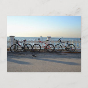 Carte Postale Vélos avec corneille