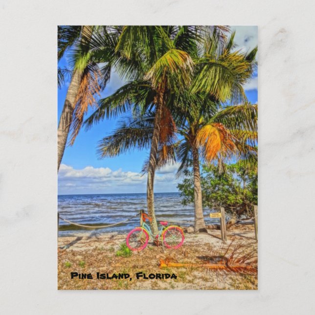 Carte Postale Vélos sur la plage - Pine Island Florida (Devant)