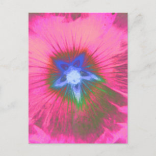 Carte postale velours rose Hollyhock