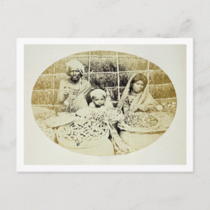 Carte Postale Vendeurs de légumes et de fruits hindous à Madras,