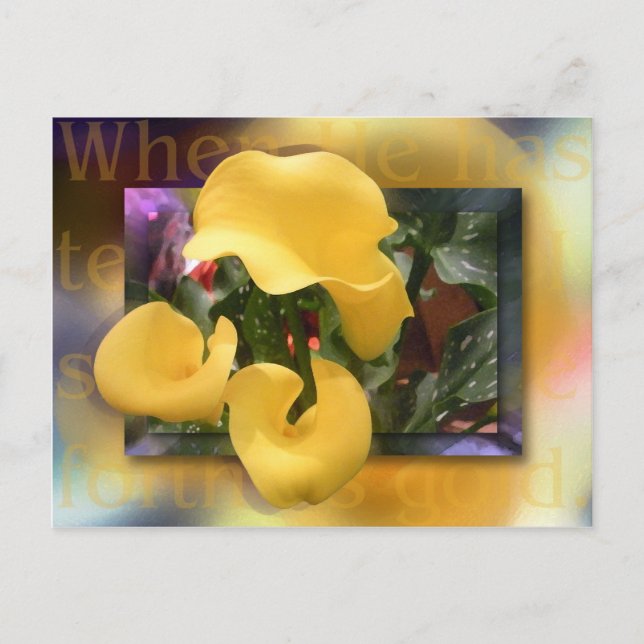 Carte Postale Venez en or (Devant)