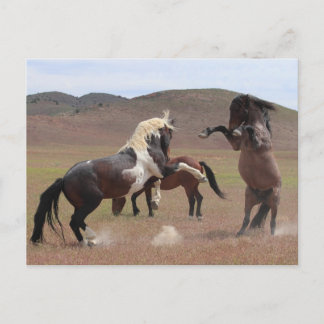 Carte Postale Venez en prendre