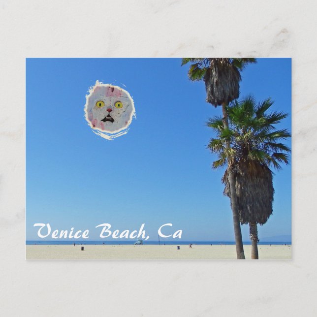 Carte postale Venice Beach amusante ! (Devant)