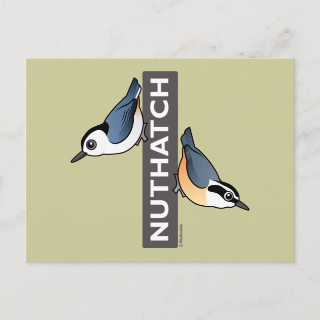 Carte Postale Ventilateur Nuthatch (Devant)