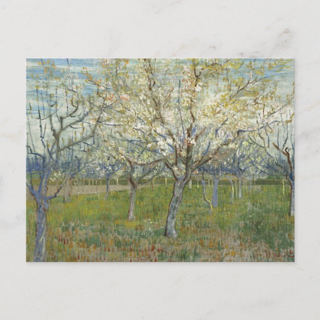 Carte Postale Verger avec Apricot en fleurs - Van Gogh P (Devant)