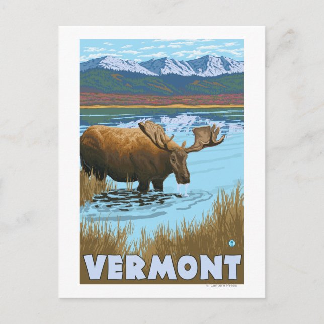 Carte Postale VermontMoose Boire dans le lac (Devant)