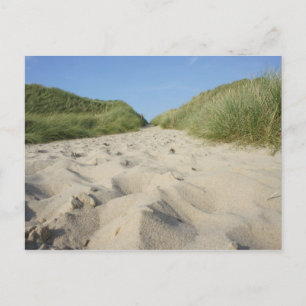 Carte Postale Vers la plage par l'avoine de plage