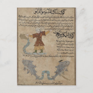 Carte Postale Verseau et Poissons