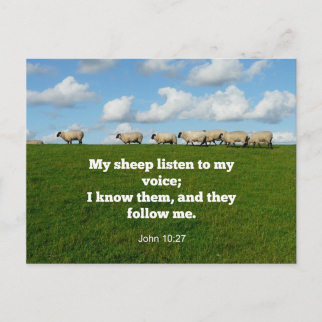 Carte Postale verset de la Bible, Jean 10:27, Mon mouton... (Devant)