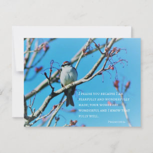 Carte Postale Verset photo, avec une grande tristesse et une mer