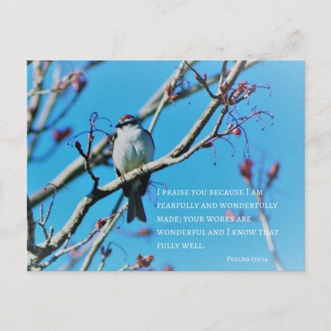 Carte Postale Verset photo, avec une grande tristesse et une mer (Devant)