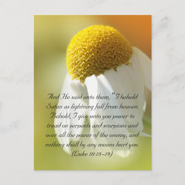Carte Postale Versets de la Bible, Daisy (Devant)