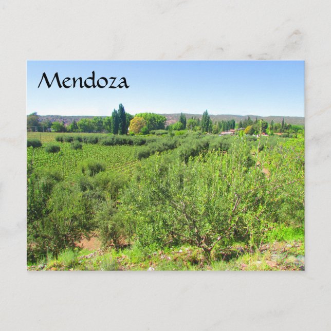 Carte Postale vert mendoza (Devant)