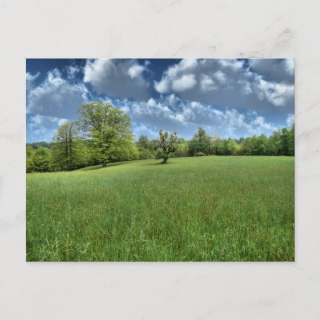 Carte postale verte appalachienne (Devant)