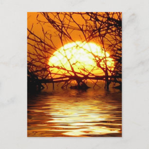 Carte postale verticale du coucher de soleil liqui