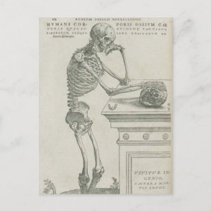 Carte Postale Vesalius Skeletal Image