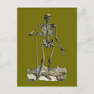Carte Postale Vesalius : Système Skeletal