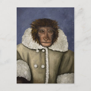 Carte Postale Veste de singe