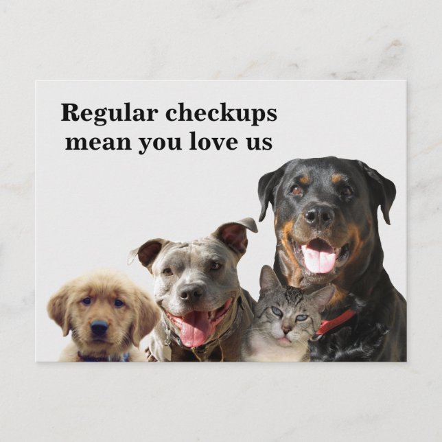 Carte Postale Vétérinaire Aimer vos animaux de compagnie Checkup (Devant)