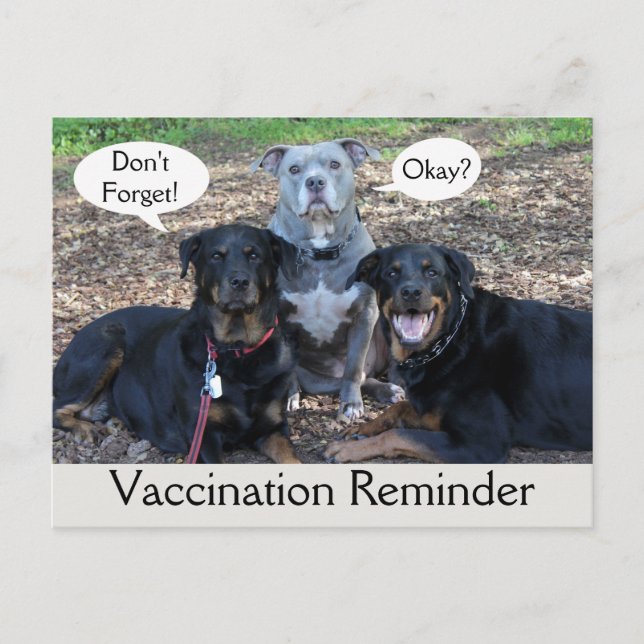 Carte postale Vétérinaire Famille Doggie (Devant)