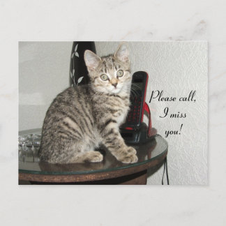 Carte Postale Veuillez appeler Kitty