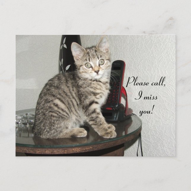 Carte Postale Veuillez appeler Kitty (Devant)