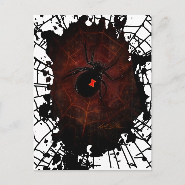 Carte Postale Veuve noire (Devant)