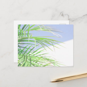 Carte Postale Vibes d'été Feuilles de Palmier Vert Pâle Pastel