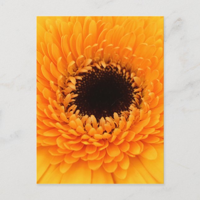 Carte Postale Vibrant (Devant)