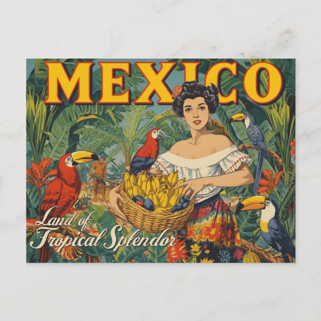 Carte Postale Vibrant Vintage Style Mexico Tropical Travel (Devant)