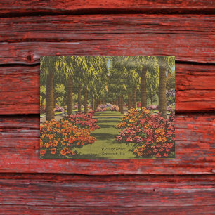 Carte Postale Victoire Dr Azaleas Palm Trees Savannah GA rétro