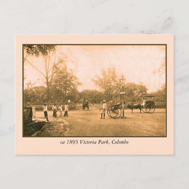 Carte Postale Victoria Park Colombo Ceylon (Sri Lanka) (Devant)
