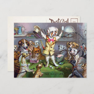 Carte postale Victorian Dog Magicien