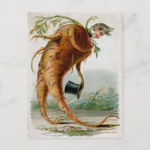 Carte Postale Victorian Odd Root Man