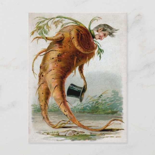 Carte Postale Victorian Odd Root Man (Devant)