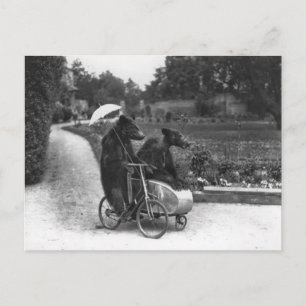 Carte Postale Victorian Weird Bears Riding Bicycle